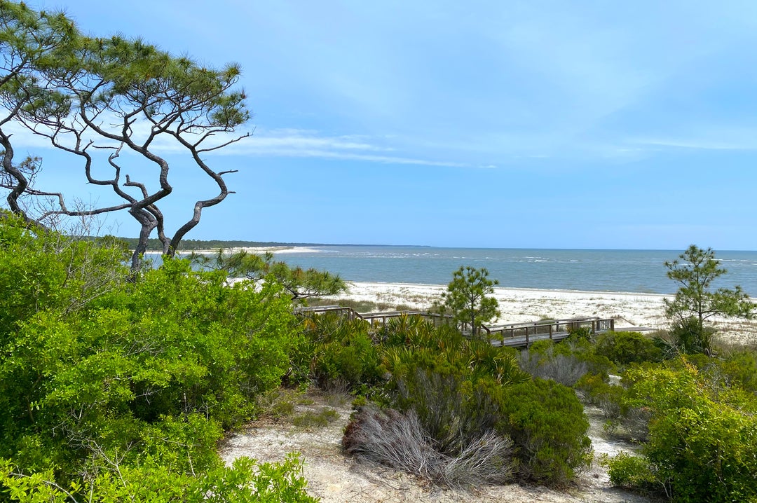 Vacant Land For Sale on Florida's Coast Port Realty Group